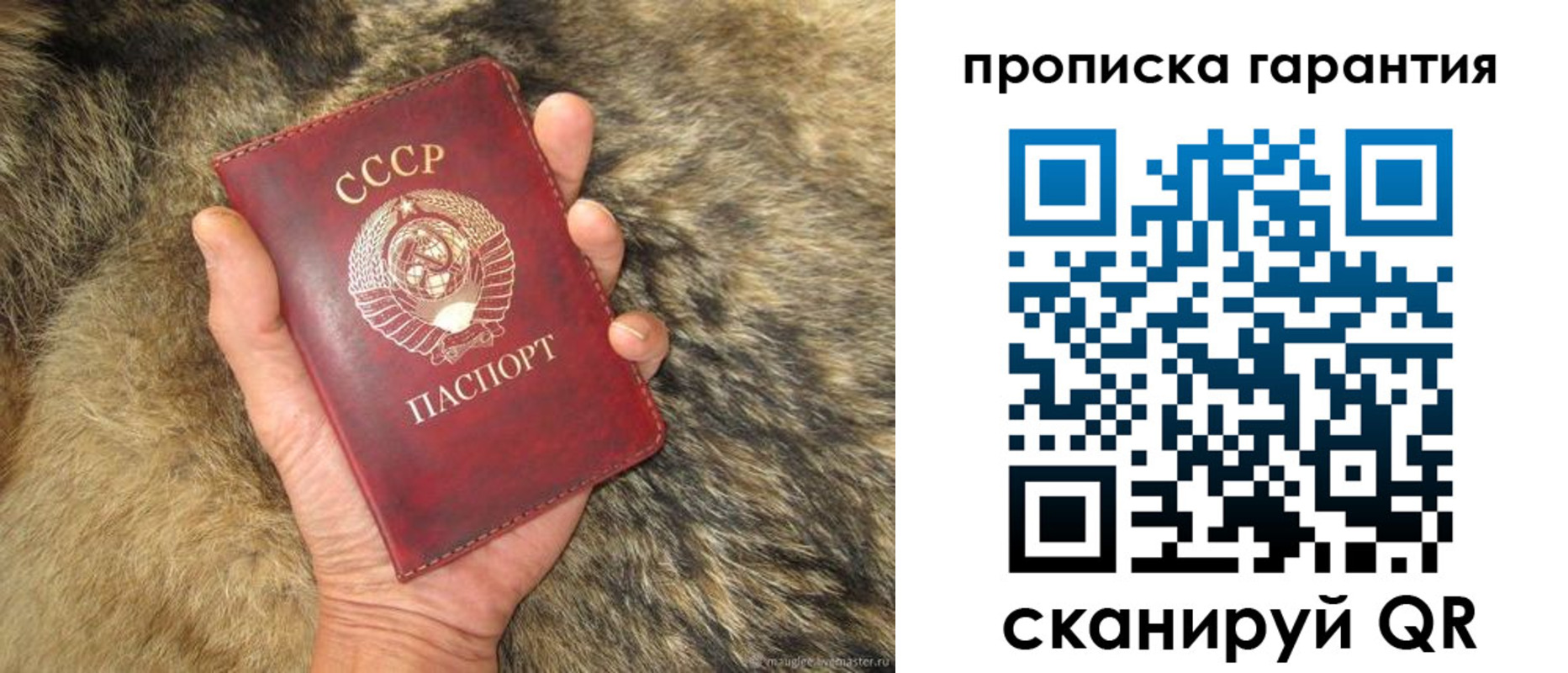 прописка паспорт в Вичуге